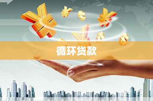 隆子循环贷款