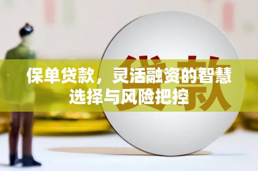 隆子保单贷款，灵活融资的智慧选择与风险把控