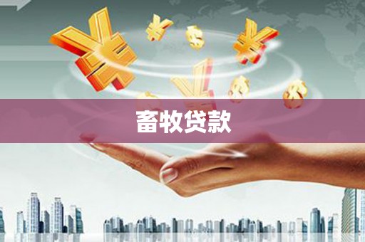 隆子畜牧贷款