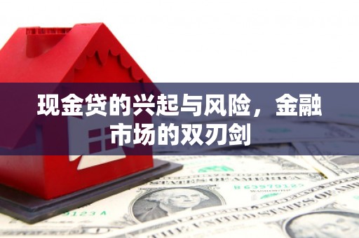 隆子现金贷的兴起与风险，金融市场的双刃剑
