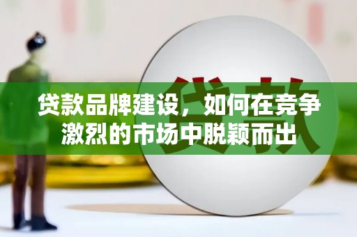 隆子贷款品牌建设，如何在竞争激烈的市场中脱颖而出