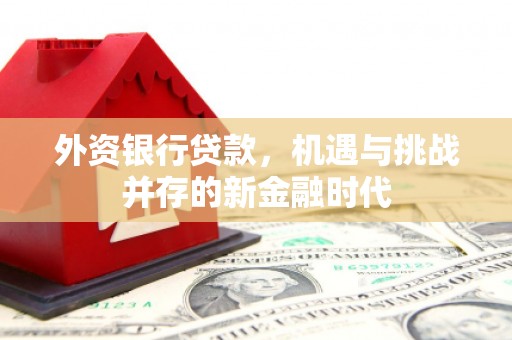 隆子外资银行贷款，机遇与挑战并存的新金融时代