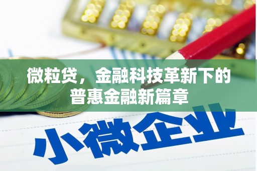 隆子微粒贷，金融科技革新下的普惠金融新篇章