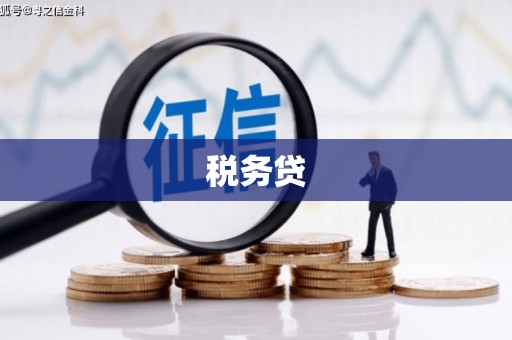 隆子税务贷