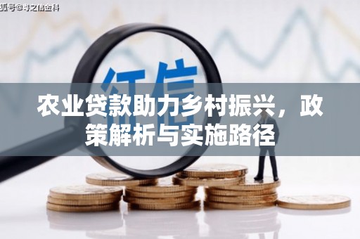 隆子农业贷款助力乡村振兴，政策解析与实施路径