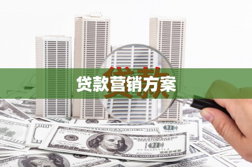 隆子贷款营销方案