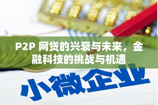 隆子P2P 网贷的兴衰与未来，金融科技的挑战与机遇
