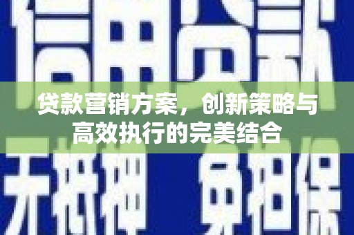 隆子贷款营销方案，创新策略与高效执行的完美结合