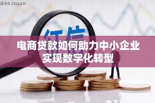隆子电商贷款如何助力中小企业实现数字化转型