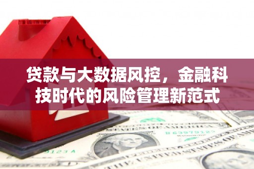 隆子贷款与大数据风控，金融科技时代的风险管理新范式
