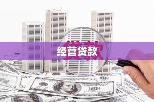 隆子经营贷款