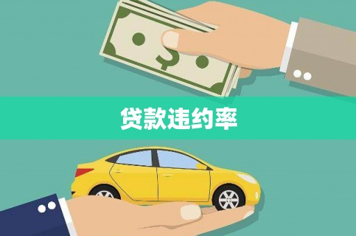 隆子贷款违约率
