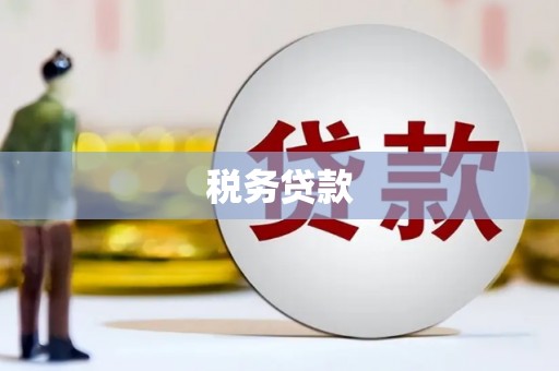 隆子税务贷款