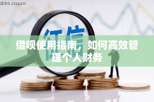 隆子借呗使用指南，如何高效管理个人财务