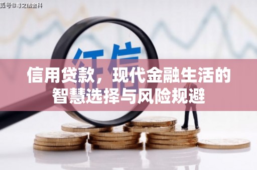 隆子信用贷款，现代金融生活的智慧选择与风险规避