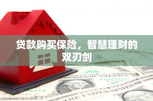 隆子贷款购买保险，智慧理财的双刃剑