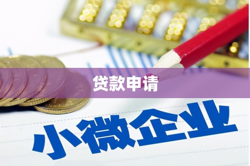 隆子贷款申请