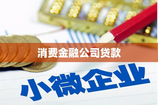 隆子消费金融公司贷款