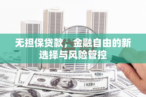 隆子无担保贷款，金融自由的新选择与风险管控
