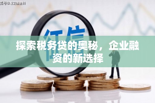 隆子探索税务贷的奥秘，企业融资的新选择