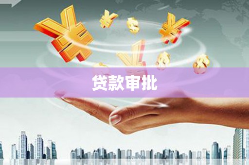 隆子贷款审批