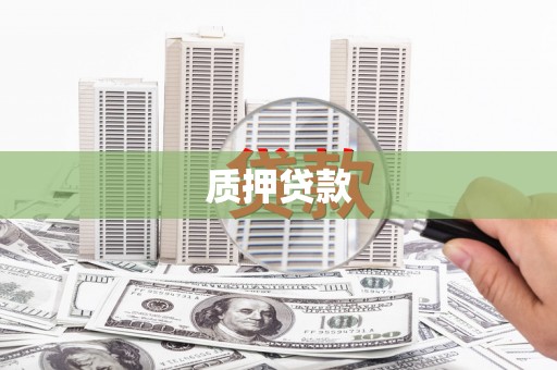 隆子质押贷款