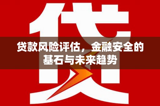 隆子贷款风险评估，金融安全的基石与未来趋势
