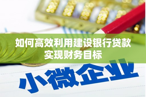 隆子如何高效利用建设银行贷款实现财务目标