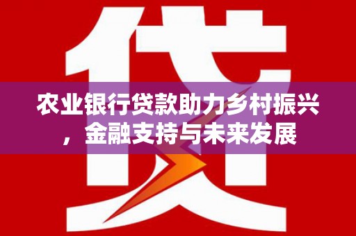 隆子农业银行贷款助力乡村振兴，金融支持与未来发展