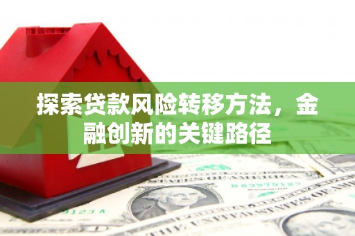 隆子探索贷款风险转移方法，金融创新的关键路径