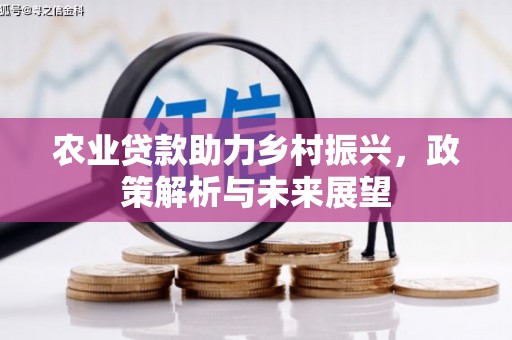 隆子农业贷款助力乡村振兴，政策解析与未来展望