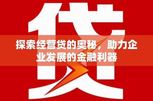 隆子探索经营贷的奥秘，助力企业发展的金融利器