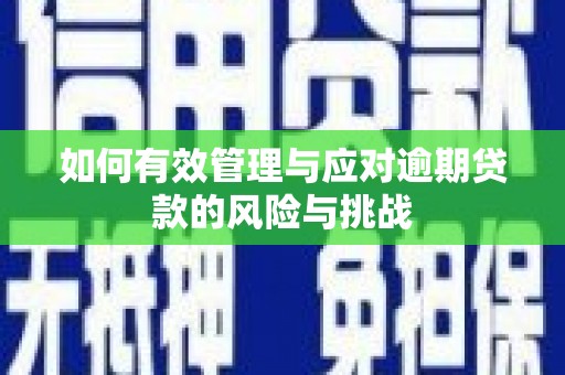 隆子如何有效管理与应对逾期贷款的风险与挑战