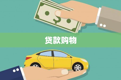 隆子贷款购物