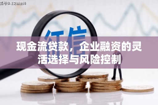 隆子现金流贷款，企业融资的灵活选择与风险控制