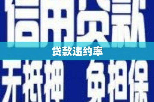 隆子贷款违约率