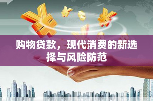 隆子购物贷款，现代消费的新选择与风险防范