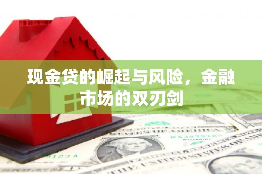 隆子现金贷的崛起与风险，金融市场的双刃剑