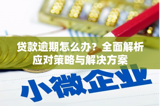 隆子贷款逾期怎么办？全面解析应对策略与解决方案