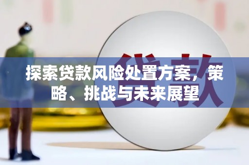 隆子探索贷款风险处置方案，策略、挑战与未来展望