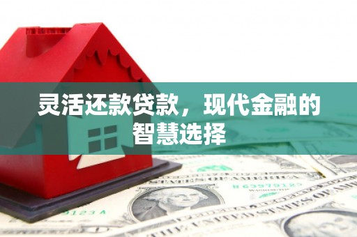 隆子灵活还款贷款，现代金融的智慧选择