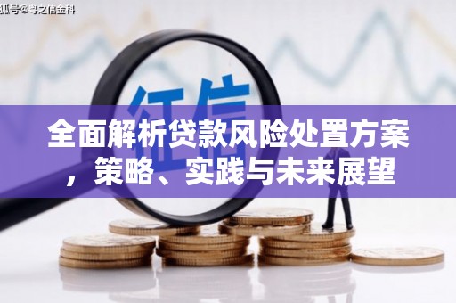 隆子全面解析贷款风险处置方案，策略、实践与未来展望