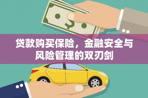 隆子贷款购买保险，金融安全与风险管理的双刃剑