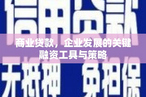 隆子商业贷款，企业发展的关键融资工具与策略