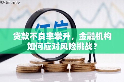 隆子贷款不良率攀升，金融机构如何应对风险挑战？