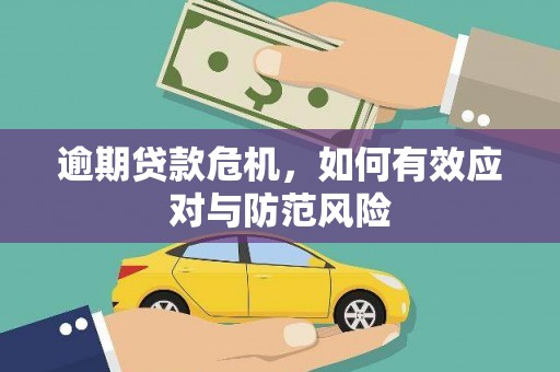 隆子逾期贷款危机，如何有效应对与防范风险