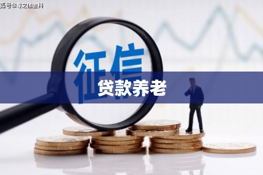 隆子贷款养老