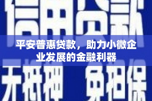 隆子平安普惠贷款，助力小微企业发展的金融利器