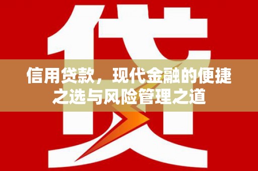 隆子信用贷款，现代金融的便捷之选与风险管理之道
