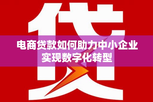 隆子电商贷款如何助力中小企业实现数字化转型